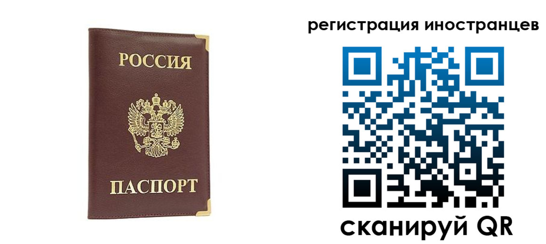 регистрация в Лузе